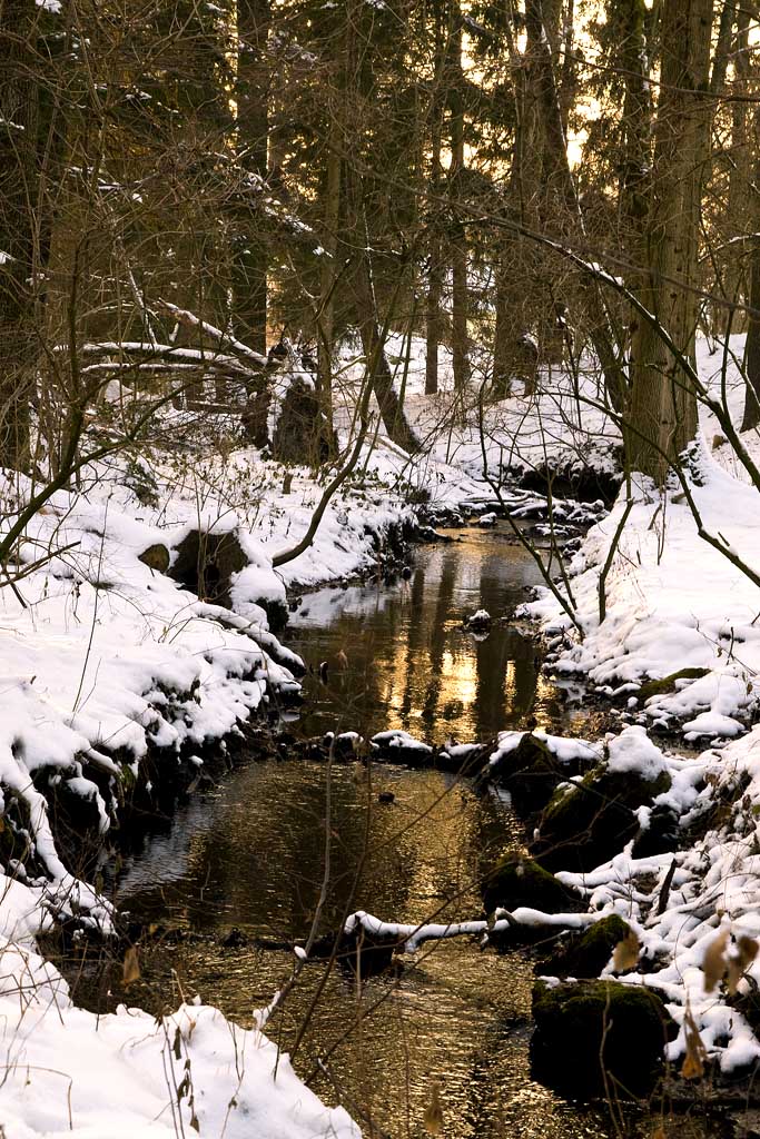Winter2