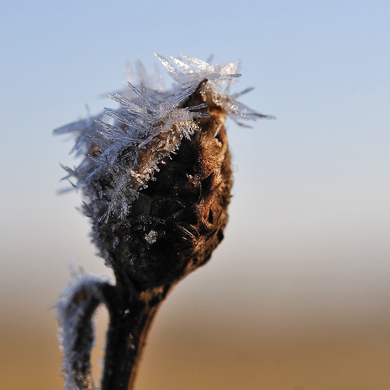 winter20