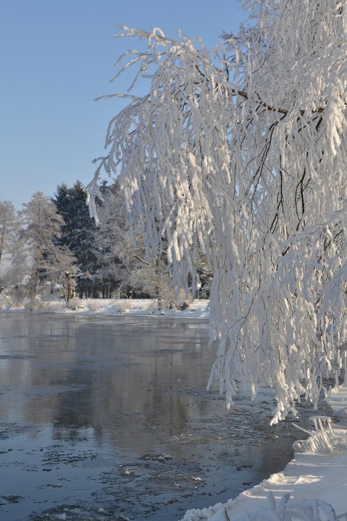 Winter2010