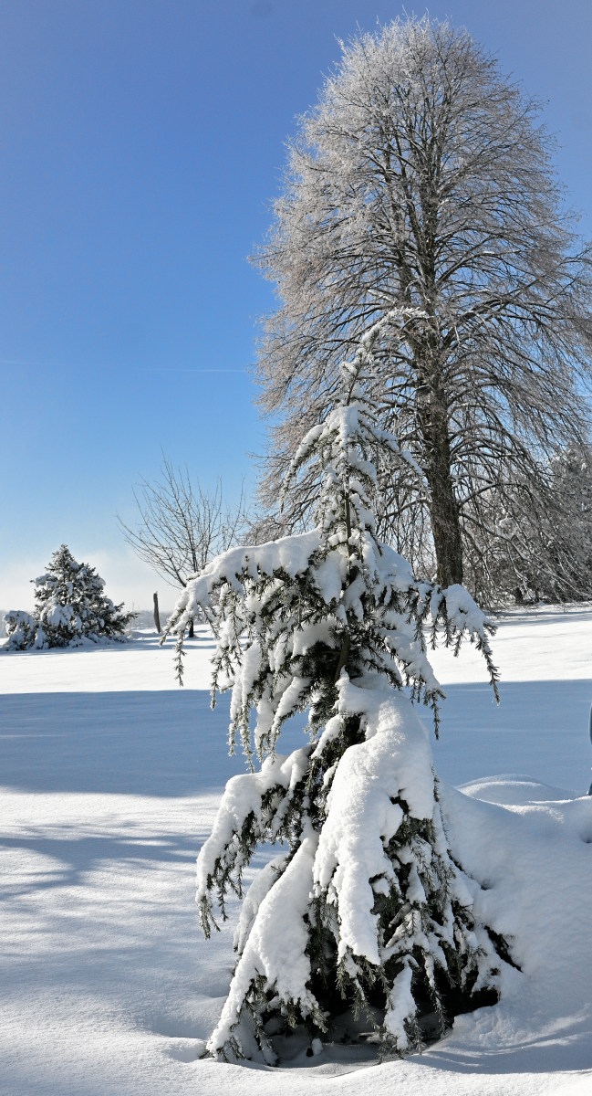 Winter24_1-06.JPG