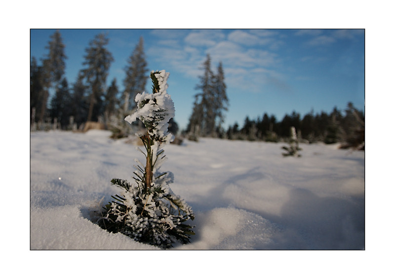 winter5