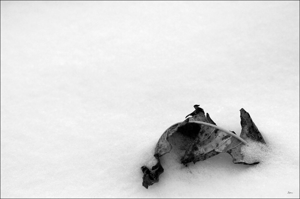 WinterDSC 0060