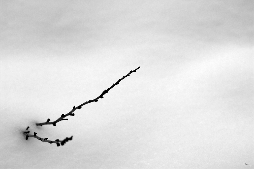 WinterDSC 0061