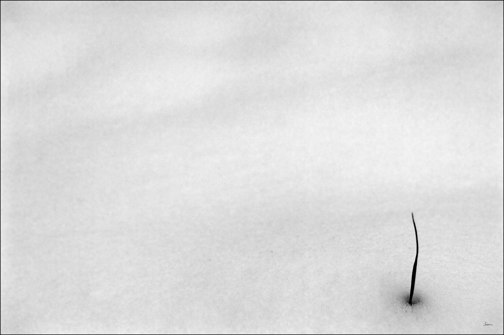 WinterDSC 0063