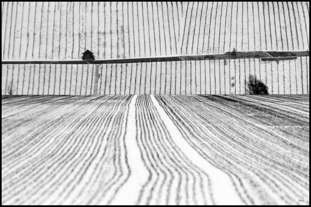 WinterDSC 0150