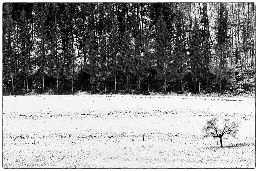 WinterDSC 8242