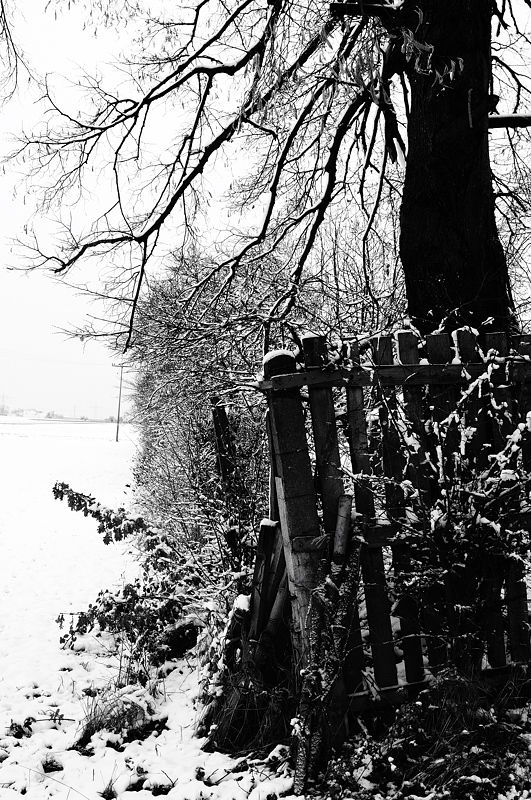 Winterecke02b