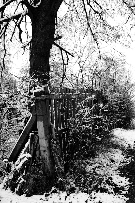 Winterecke03b