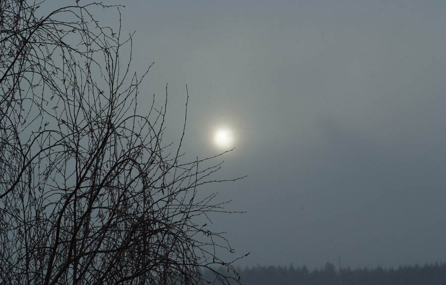 wintergrau