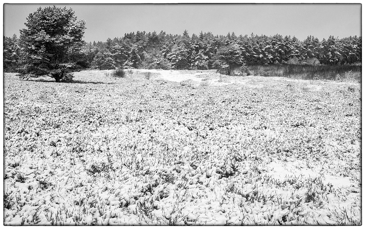 Winterheide