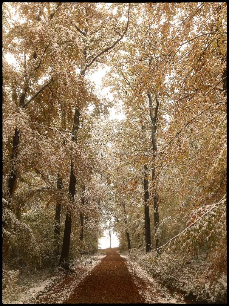 Winterherbst