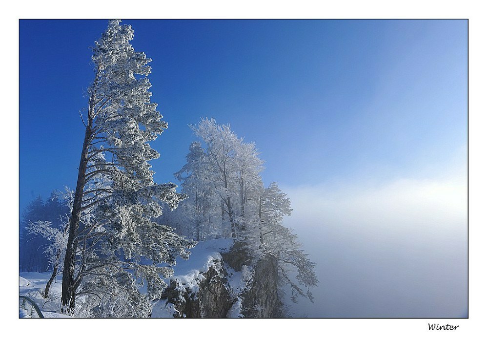 Winteridylle