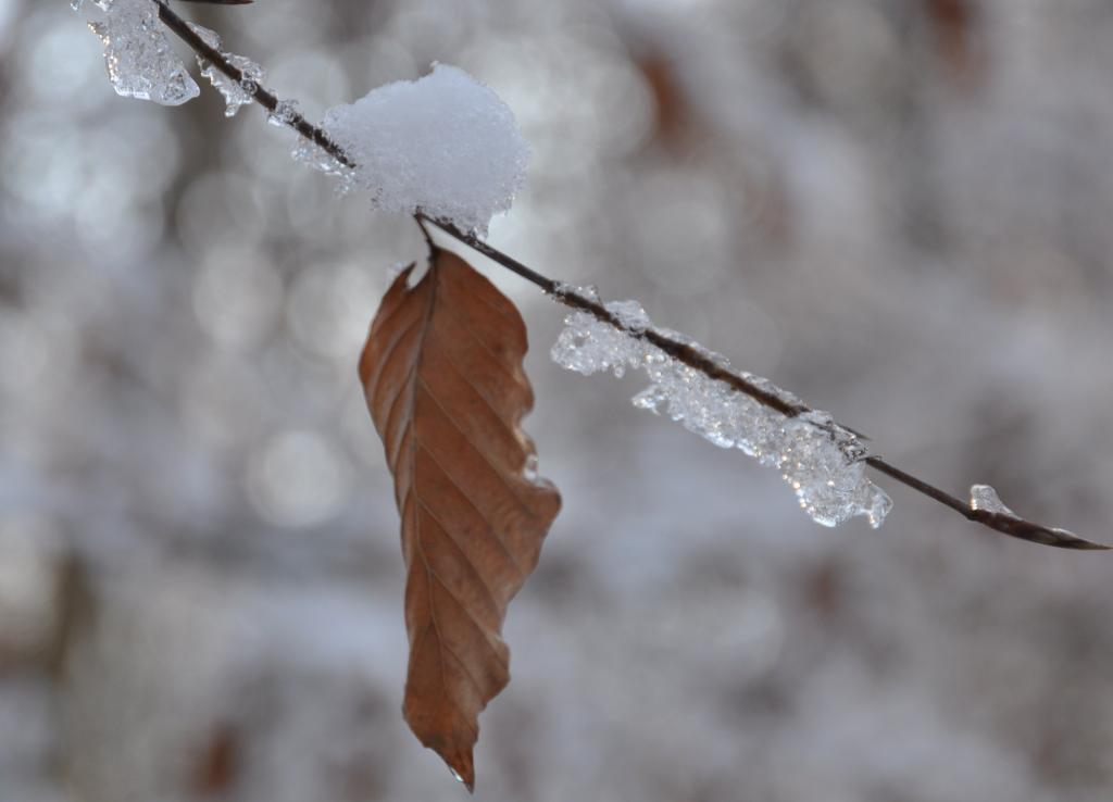 Winterimpression
