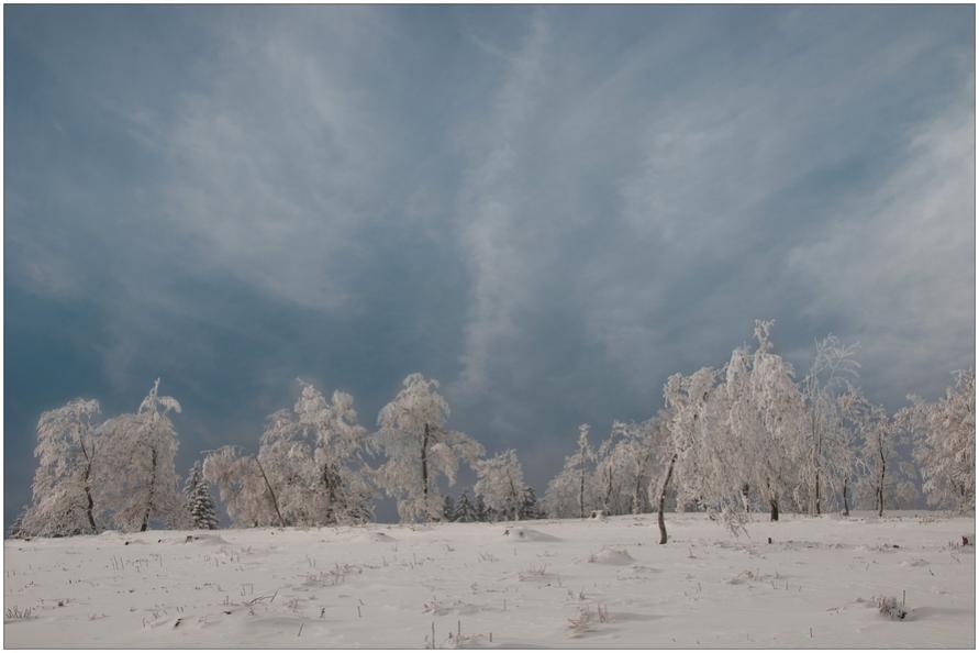 Winterimpression