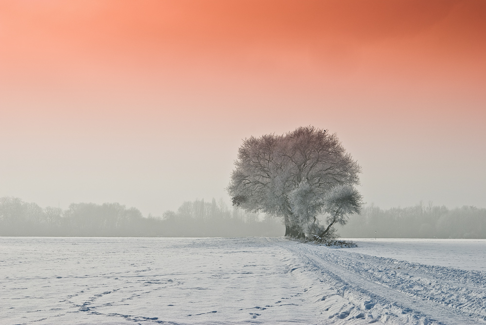 Winterjpg