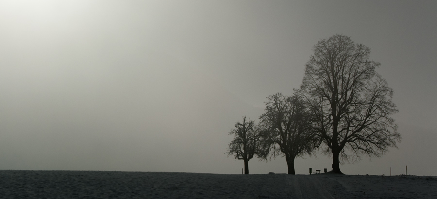 Winterlandschaft 2009 2