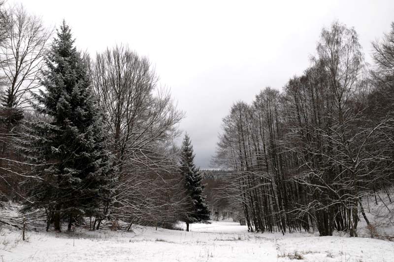 Winterlandschaft - exifs out of control