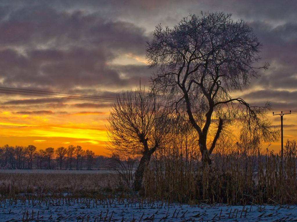 Winterlandschaft Fedkante 003