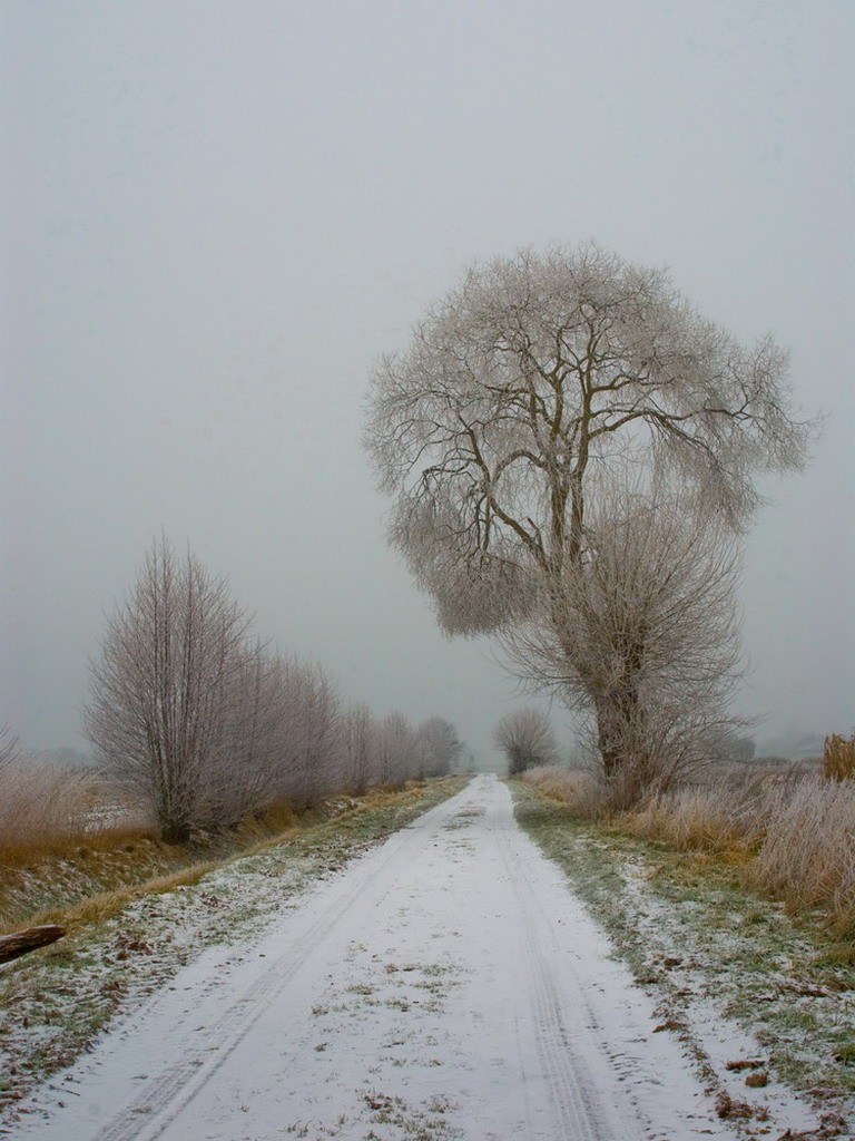 Winterlandschaft Fedkante 005