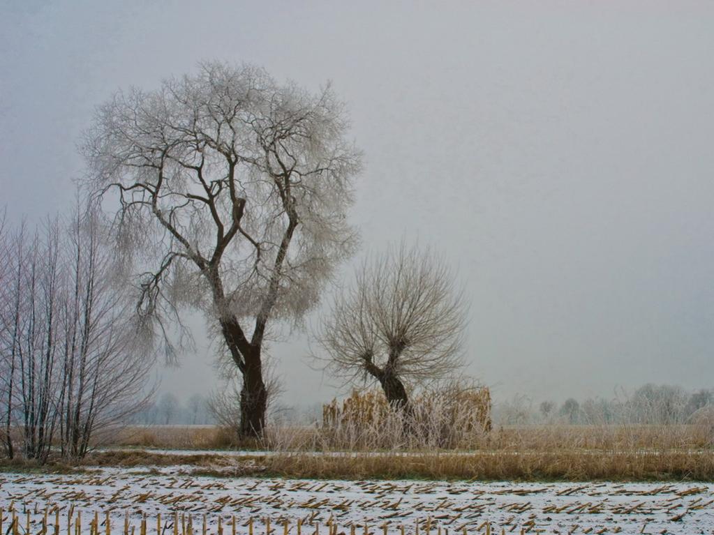 Winterlandschaft Fedkante 006