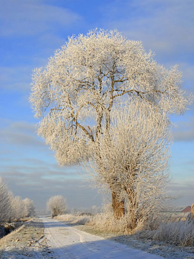 Winterlandschaft Fedkante 008