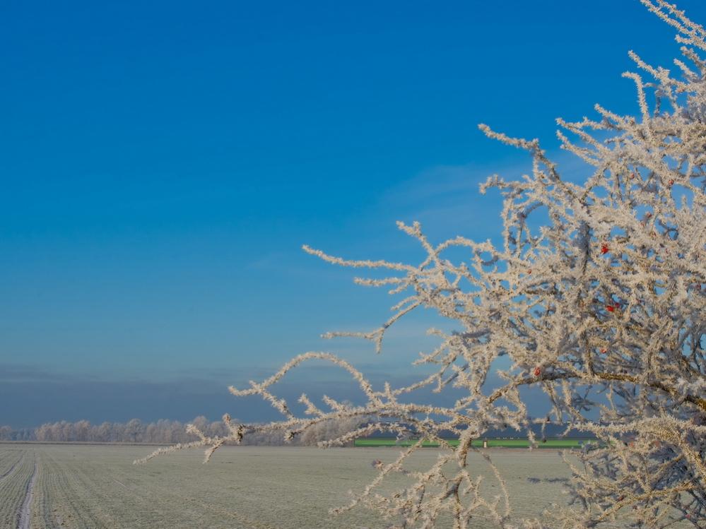 Winterlandschaft Fedkante 012