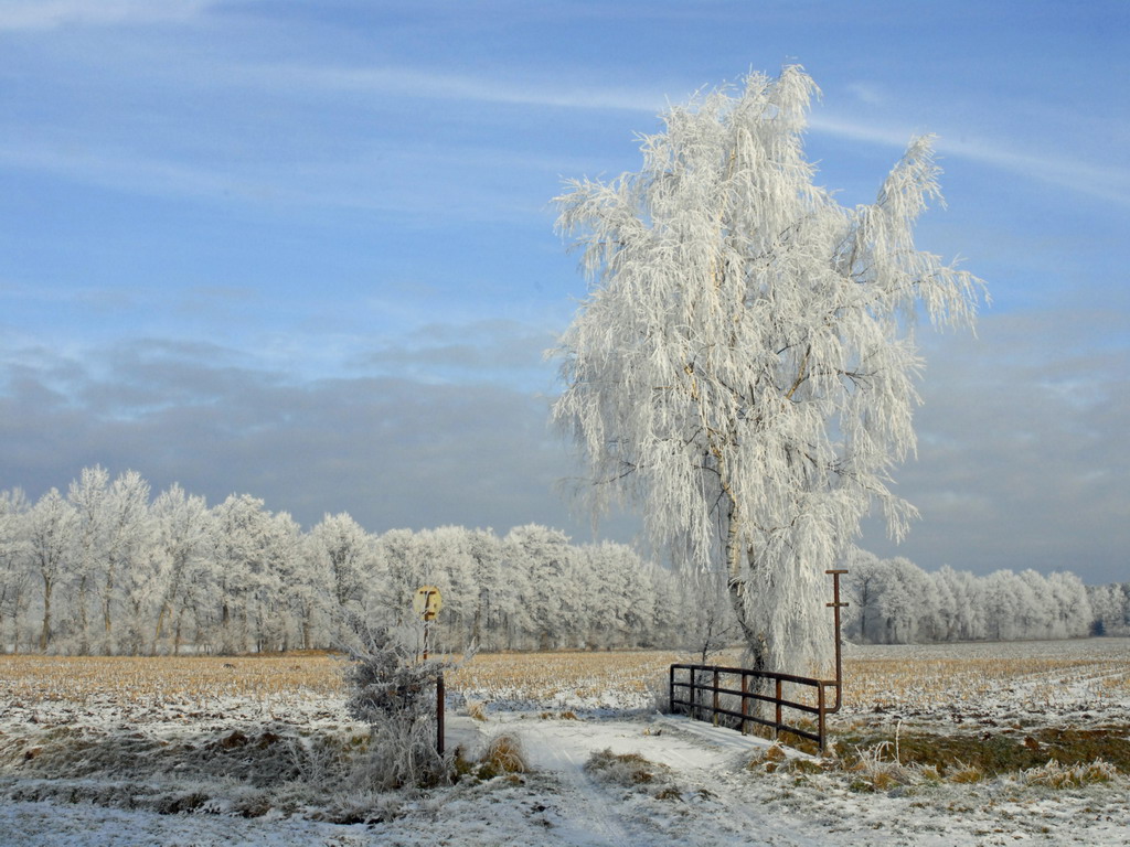 Winterlandschaft Fedkante 014