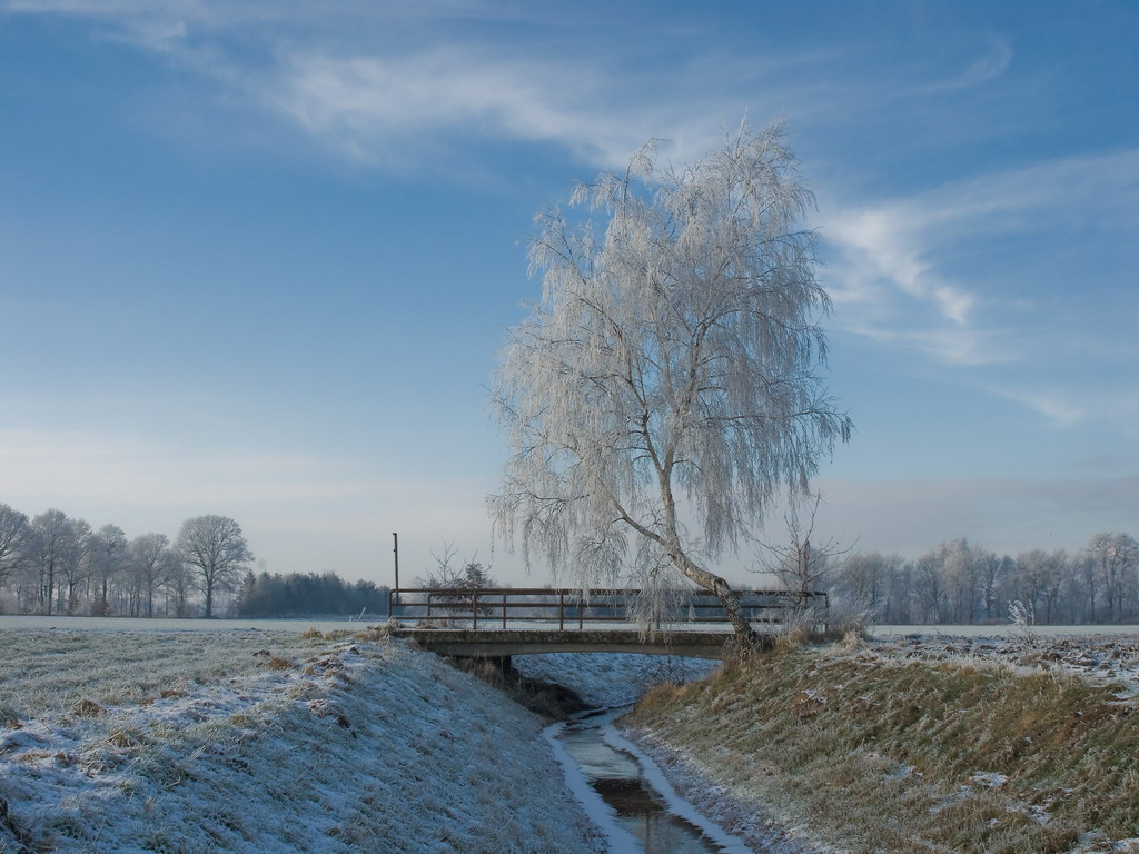 Winterlandschaft Fedkante 015