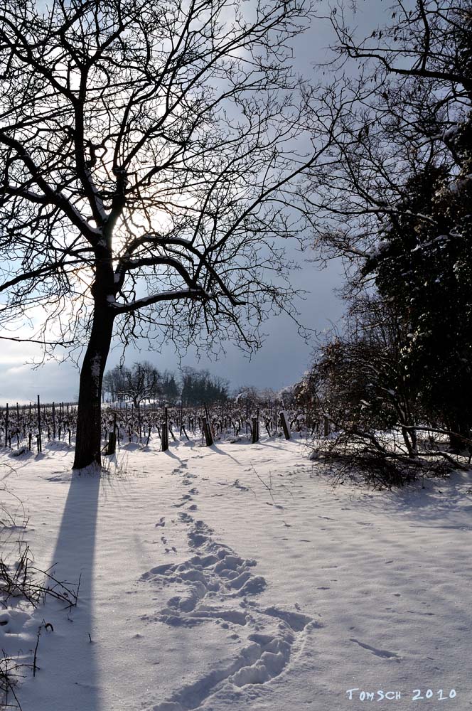 Winterlandschaft, Kleine Kalmit