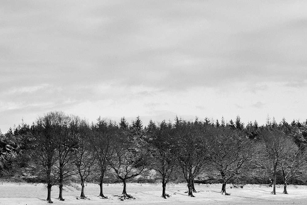 winterlandschaft