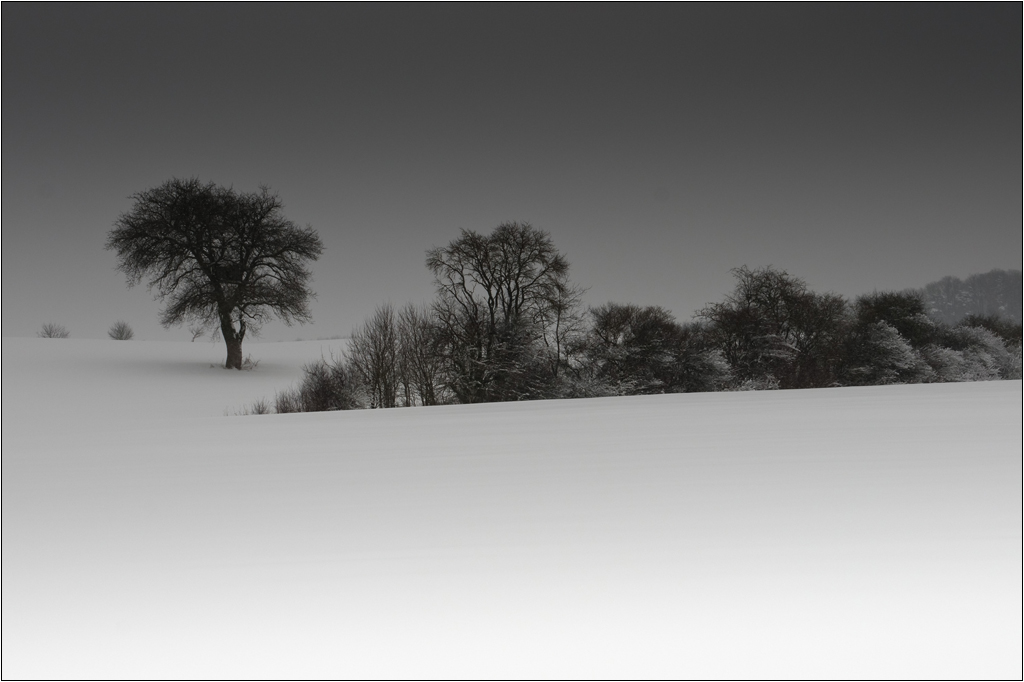 Winterlandschaft