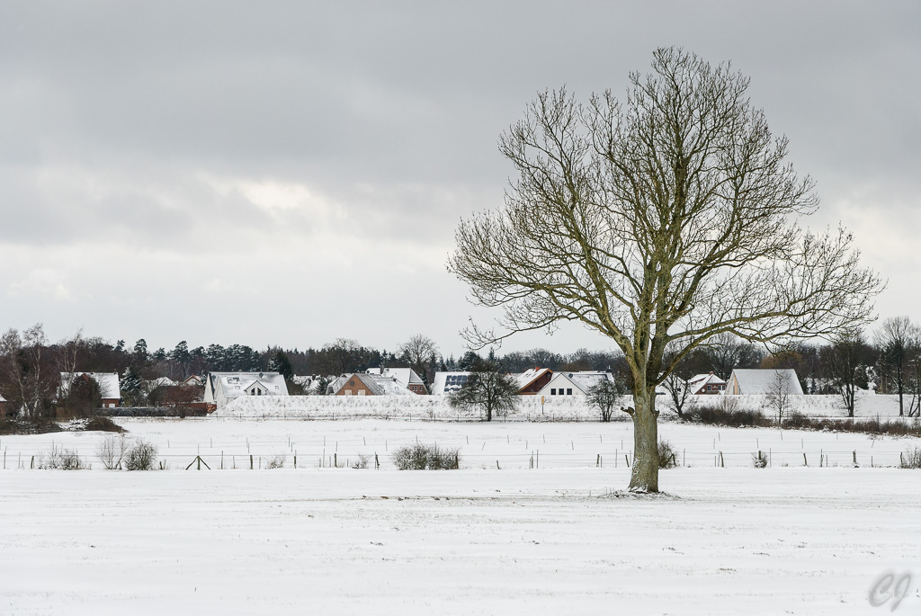 Winterlandschaft