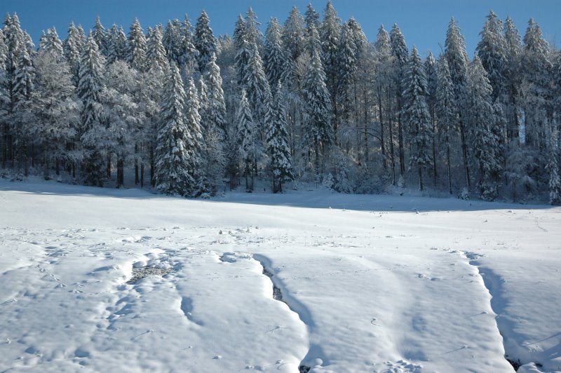 Winterlandschaft