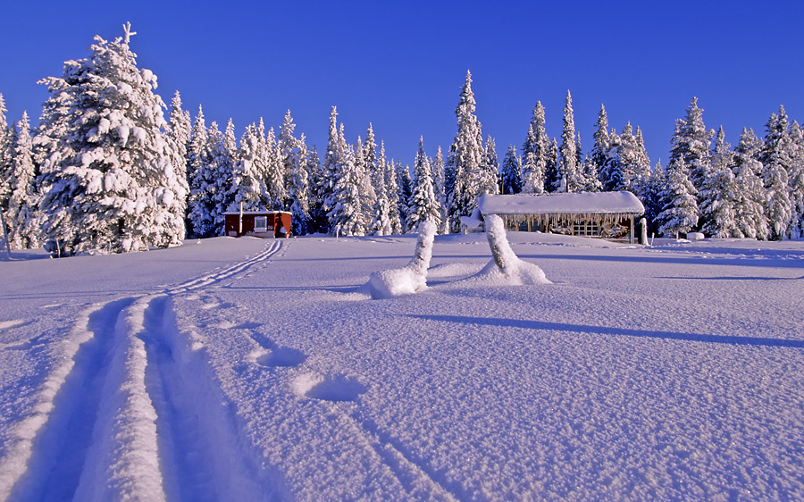 Winterlandschaften 1