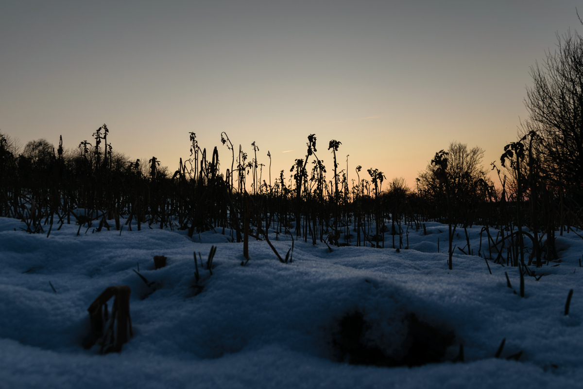 winterlicher Sonnenuntergang