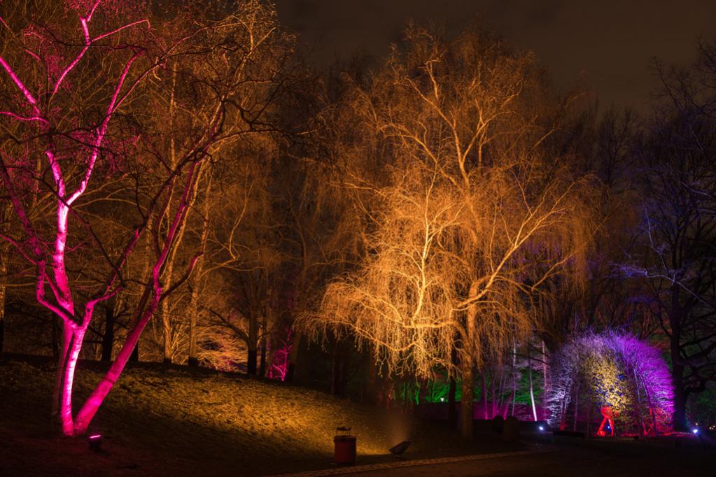 Winterlichter im Luisenpark Mannheim 13