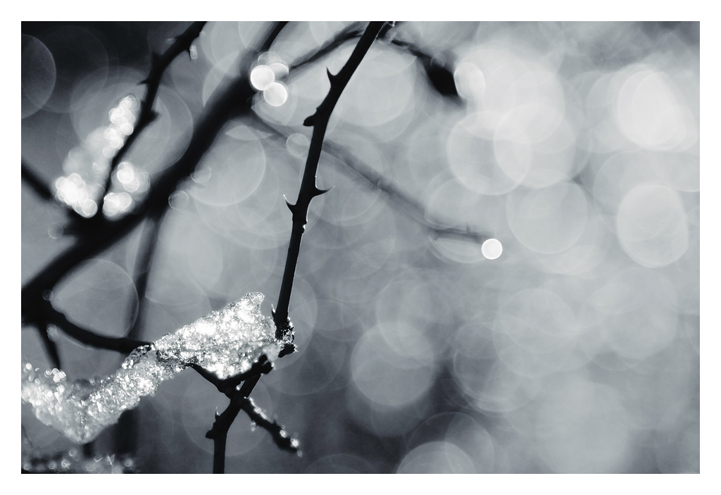 winterlichter