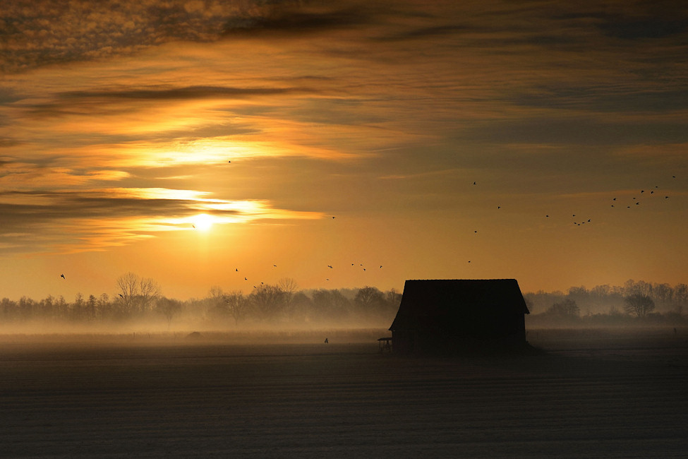 Wintermorgen Emsland 2