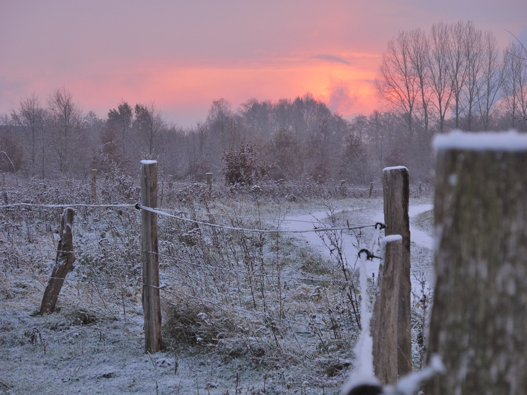 wintermorgen