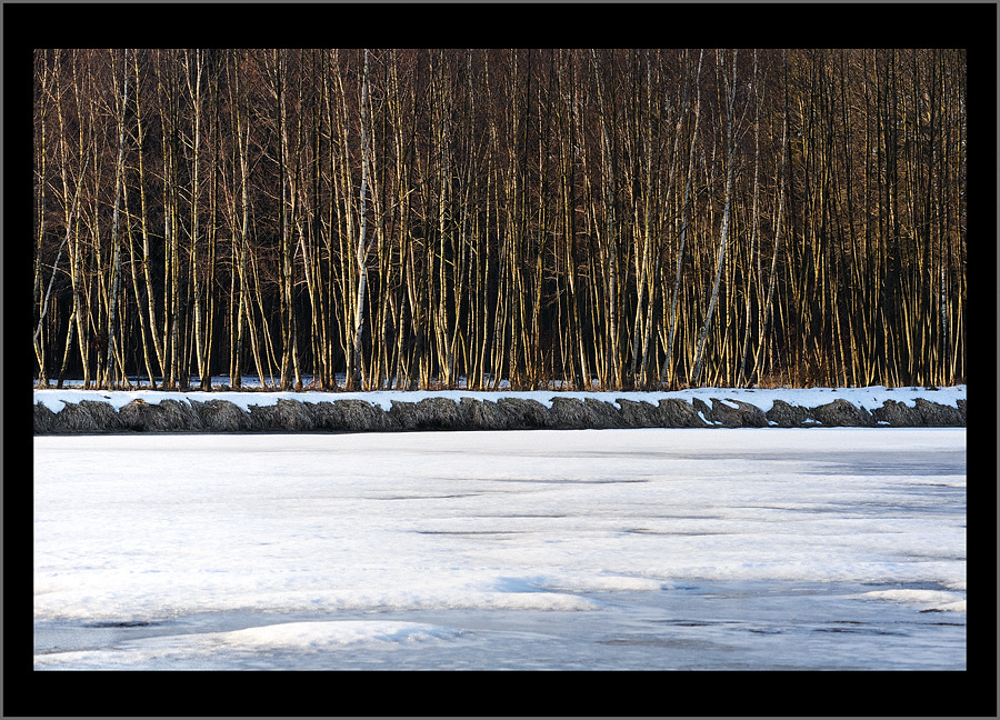 Wintersonne
