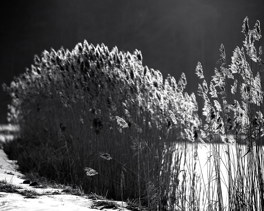 Wintersonne04