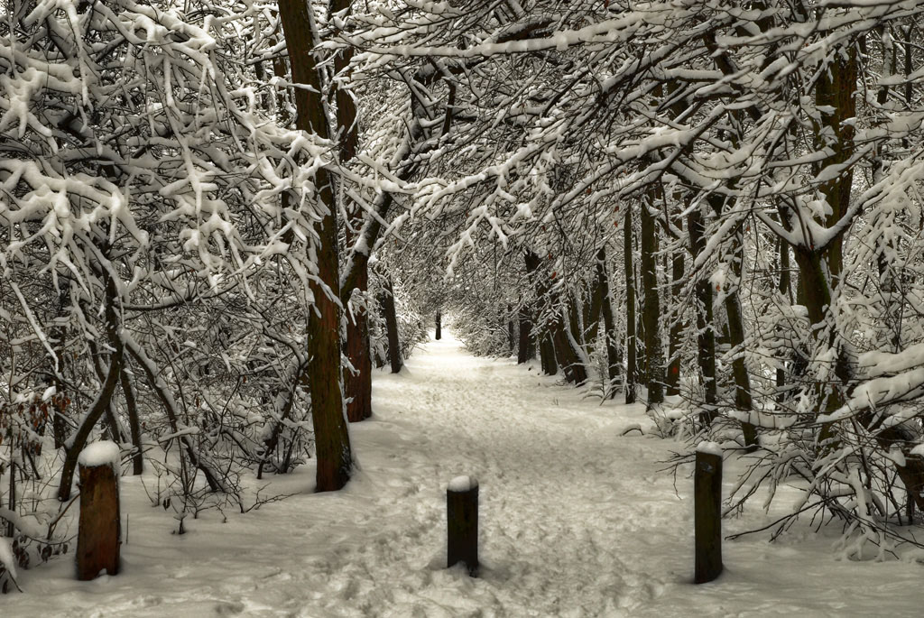 winterspaziergang 1