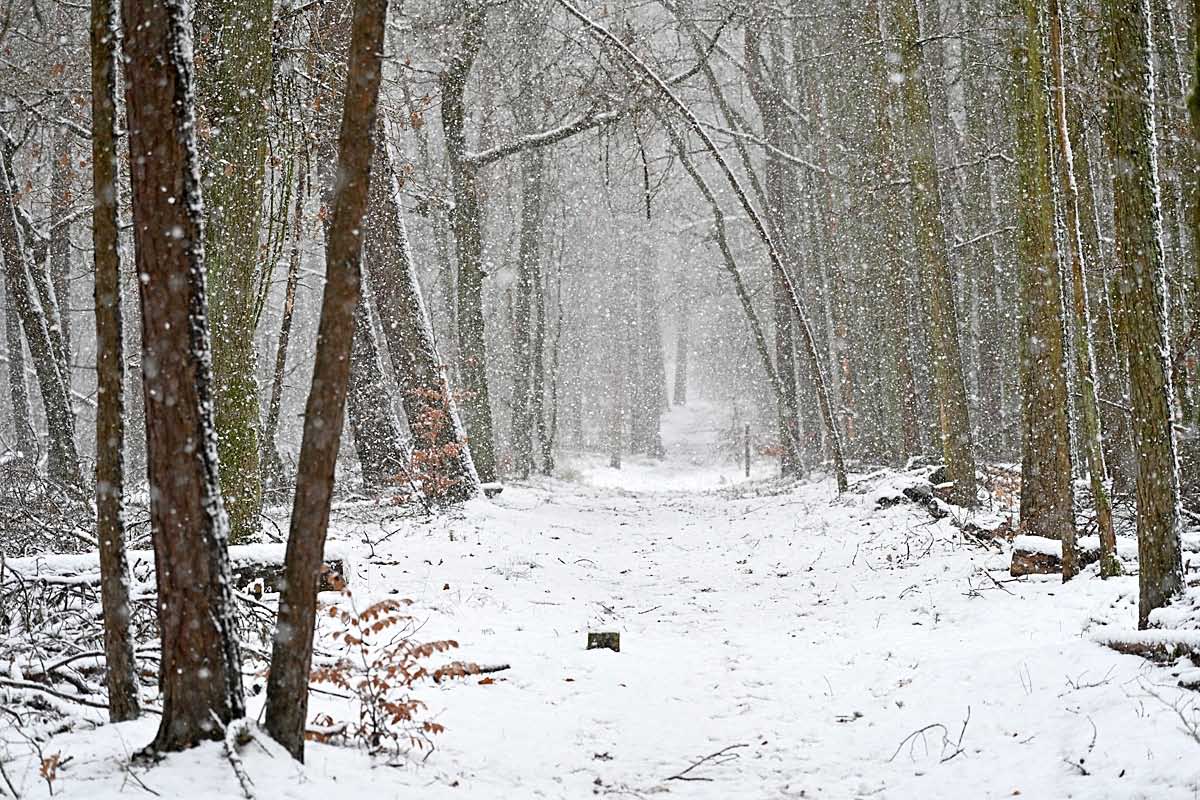 Winterspaziergang im Schneegestöber.jpg