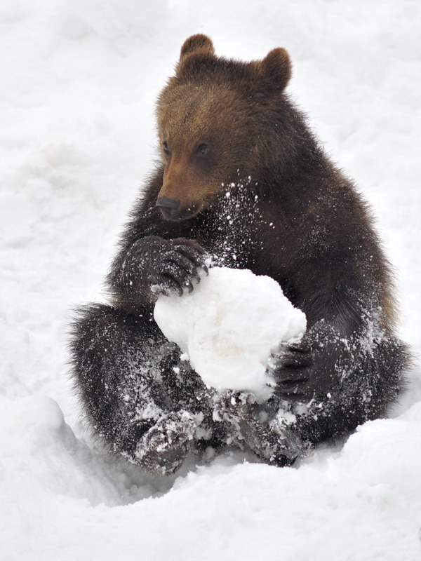 Winterspiel