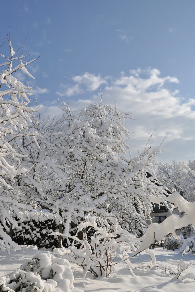 Winterstimmung

D5000 / Nikkor 18-105 VR

18.0mm / f/11.0 / 0.0020s (1/500) / ISO 200