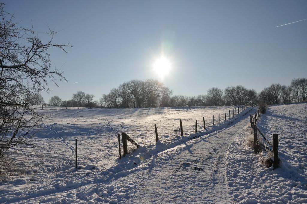 Winterstimmung