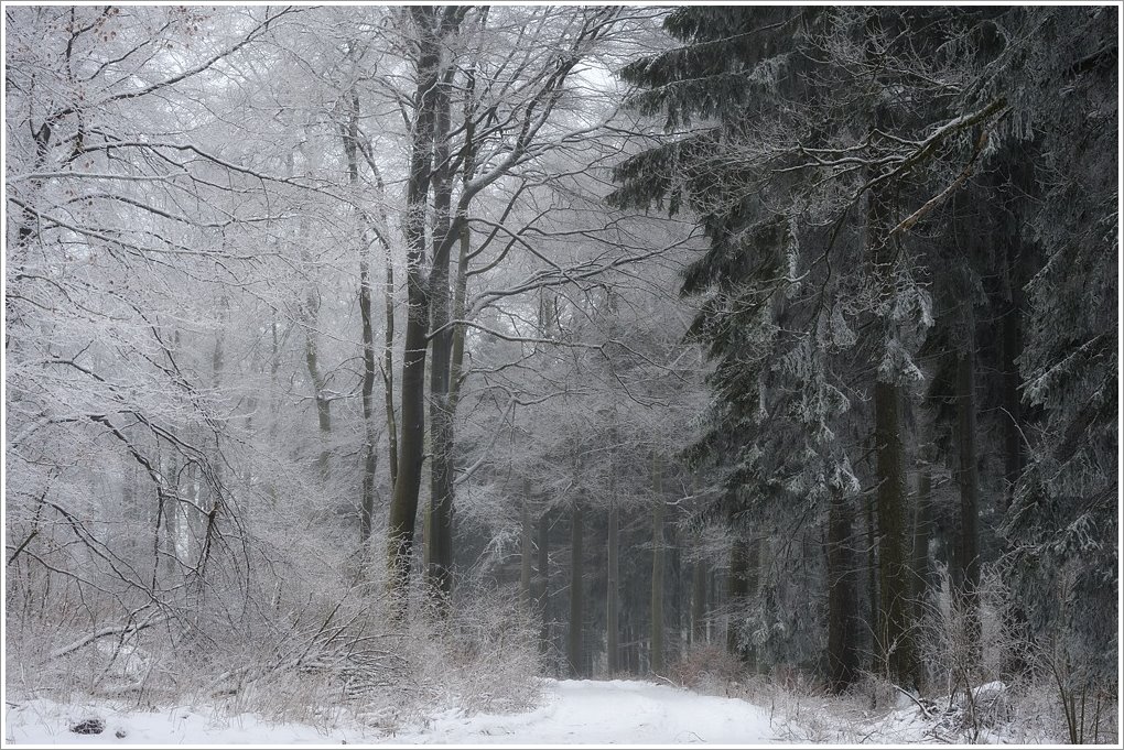 wintertraum01