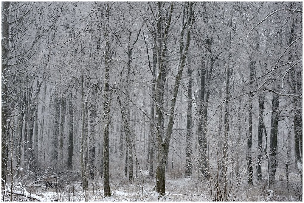 wintertraum02