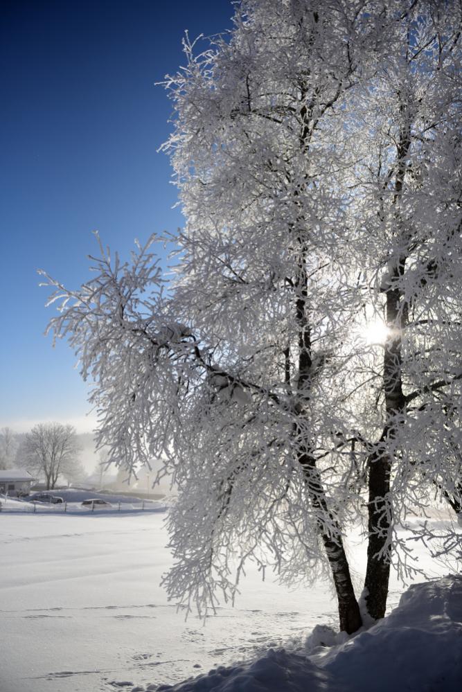 Winterurlaub in der Ramsau