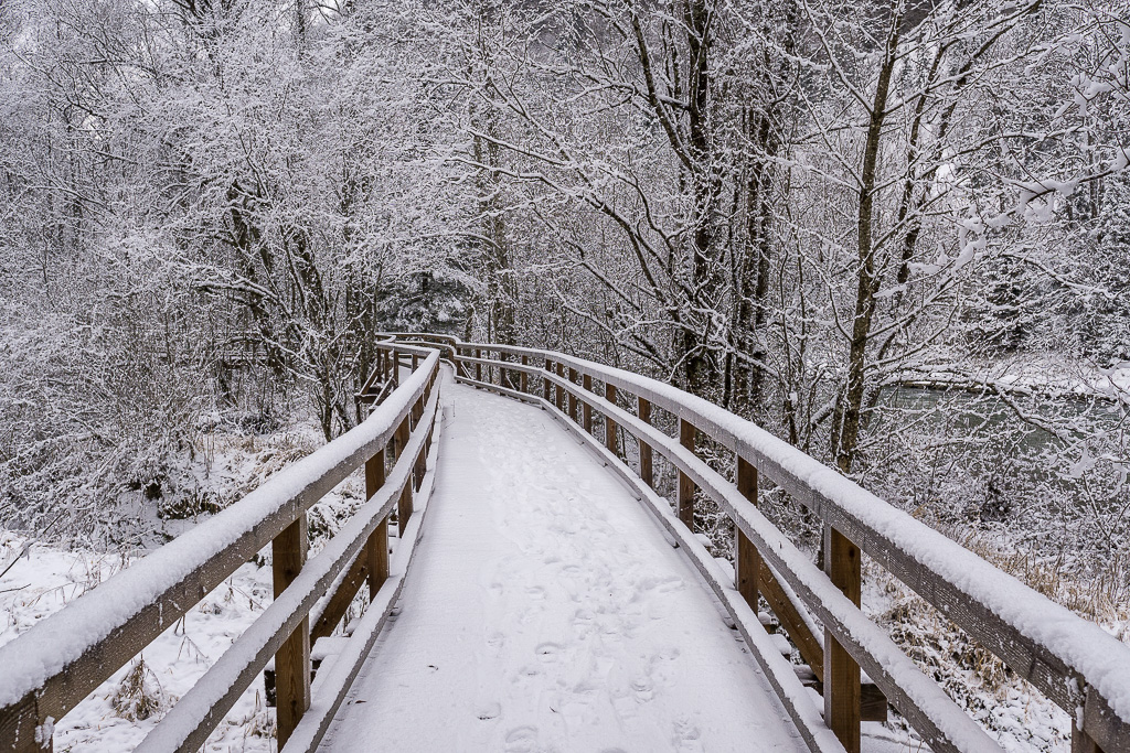 Winterweg an der Enns